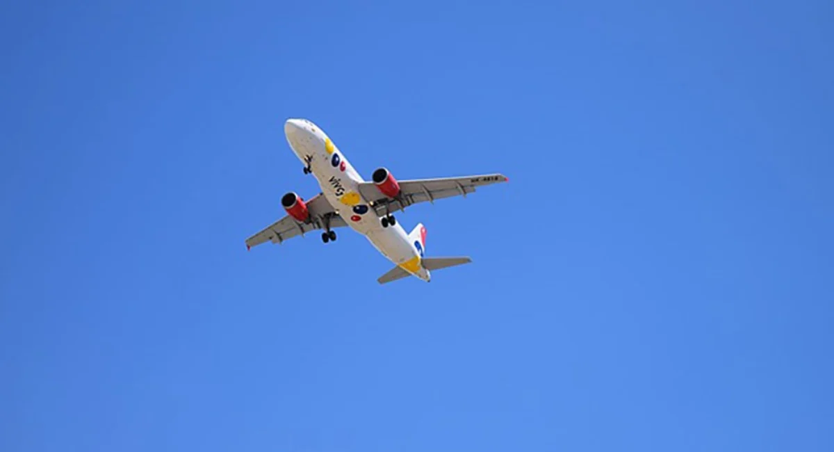 avion-viva-air-aerolinea-quindio-image